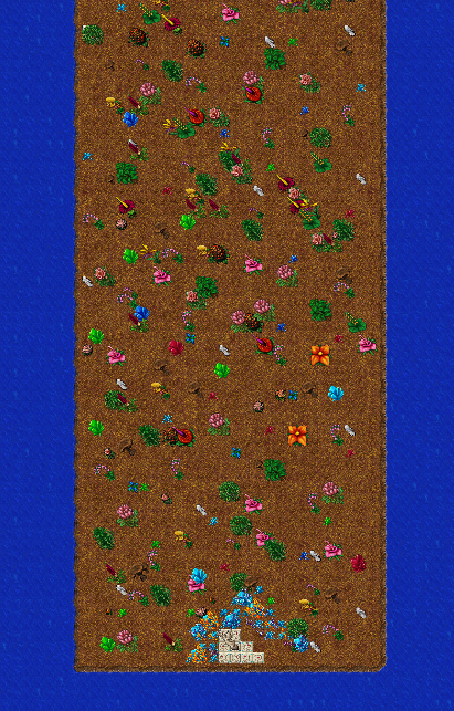 Mapa do Evento Floresta